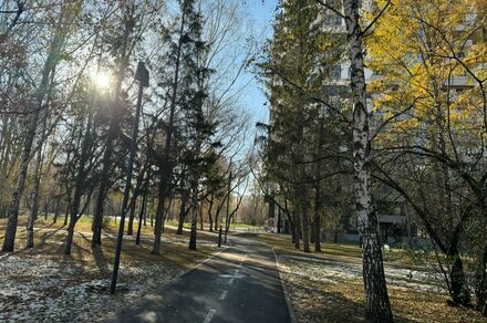 Arcobaleno Loft(Аркобалено Лофт). Пешеходная дорожка в городском парке, окружённая деревьями с осенней листвой. На тротуаре лежит небольшой слой снега. Слева видны уличные фонари, справа многоэтажное здание. Солнце светит сквозь ветви деревьев.