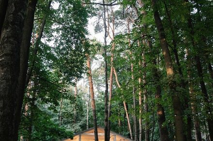 House for Wedding. Белоснежный банкетный зал в Усадьбе Лесной Берег
