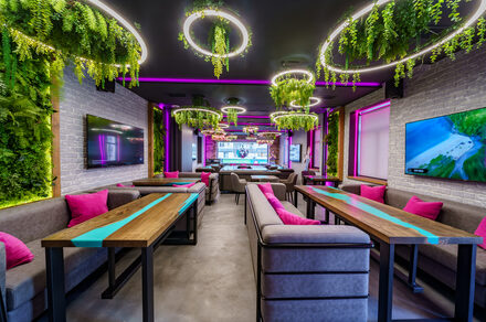 Мятный Енот