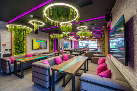 Мятный Енот