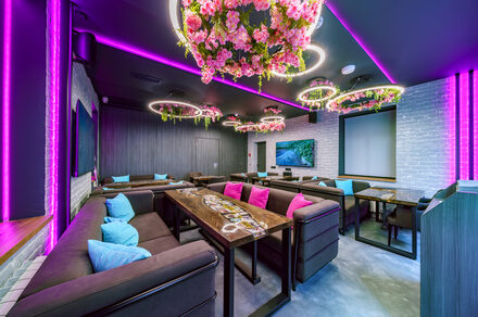 Мятный Енот