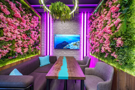 Мятный Енот