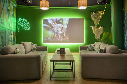 Яркий зал в зелёных тонах