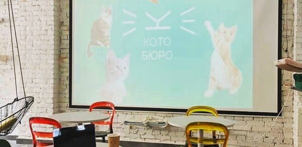 КотоБюро 