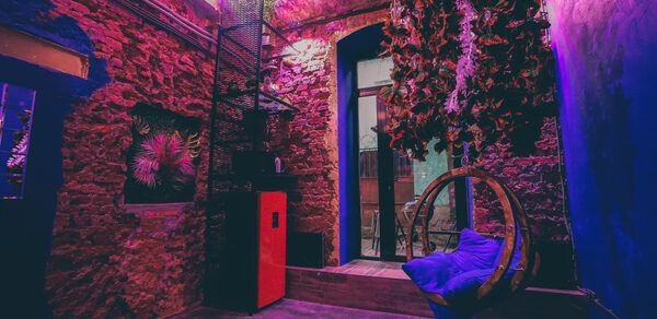 Дизайнерский лофт с выходом во внутренний дворик