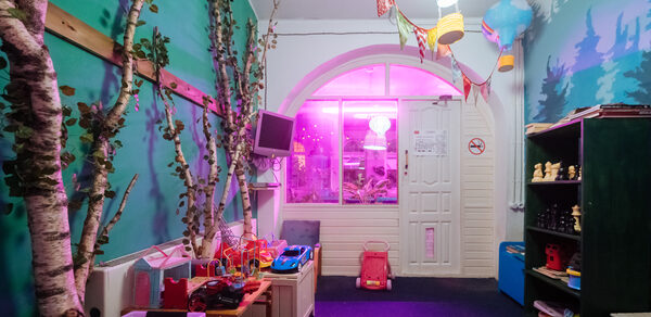 Детский зал "Березовая роща"