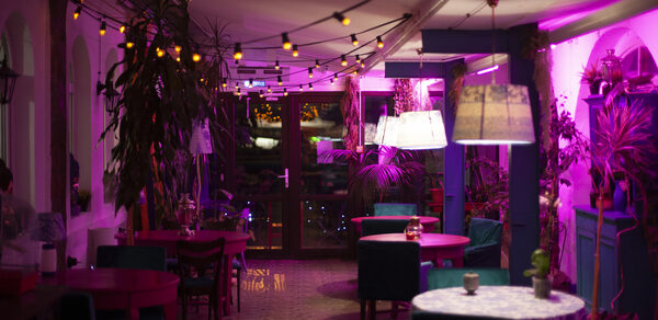 Индийский лофт-сад с тропическими растениями