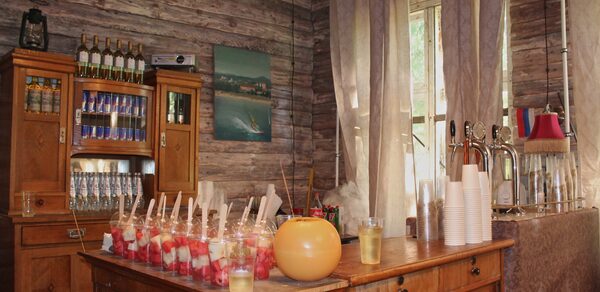 загородный клуб "Партизан" в лесу под Истрой