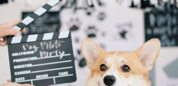 Cloud Nine. Арт-пространство на мансардном этаже