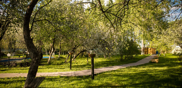 Apple Hill. Яблоневый сад 