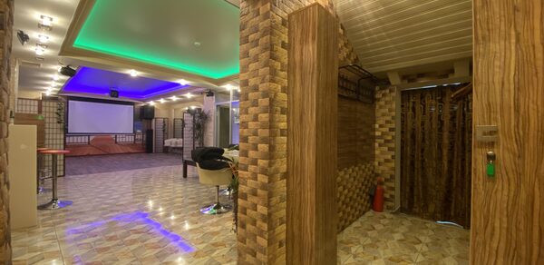 Лофт-пространство с живыми хамелеонами