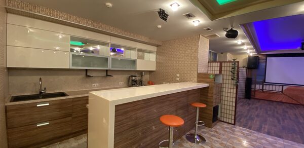 Лофт-пространство с живыми хамелеонами