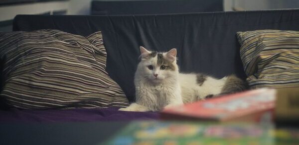 Антикафе "Коперник" Зал. Неоновая подсветка, диваны