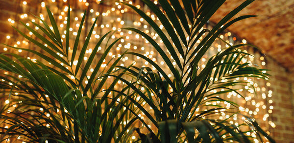 Арт-лофт с кирпичными сводами +78126037699.