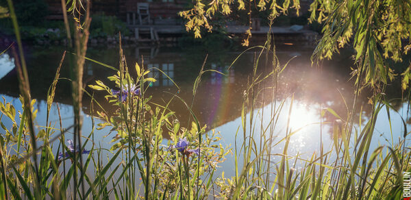 Мини-отель "Таёжный"