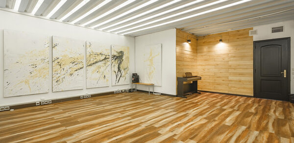 Gold&Dance Дизайнерский лофт в центре Москвы