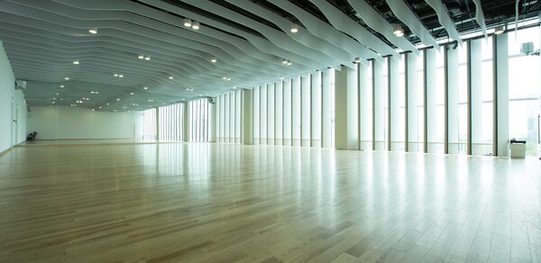 Танцевальная студия «Tdancestudio» Светлый панорамный зал