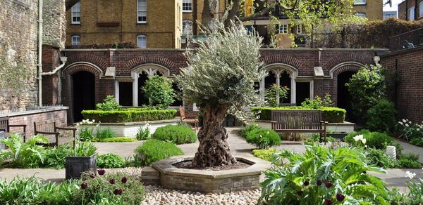 The Cloister Garden