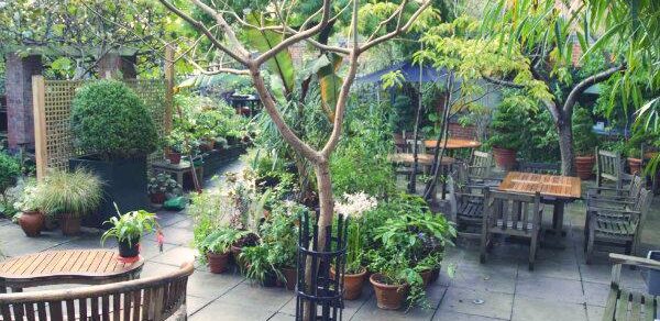 Garden at Museum of Brands