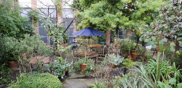 Garden at Museum of Brands