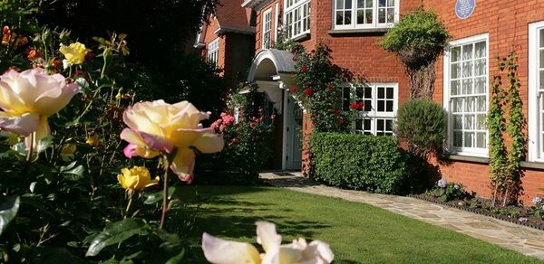 Garden at Freud Museum
