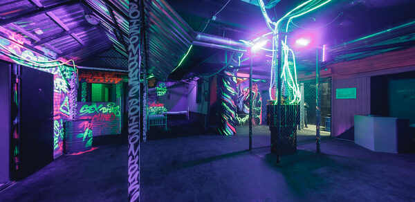 Poison House Зонированный лофт с террасой