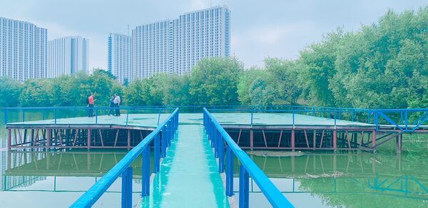 Vernissage Сцена на воде