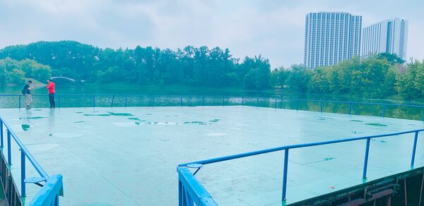 Vernissage Сцена на воде