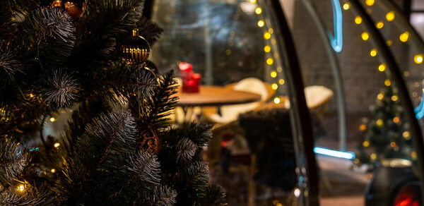 Igloobar. Иглу на крыше в центре