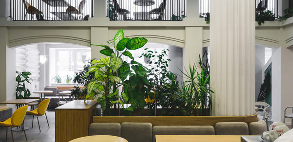 Двухуровневый лофт с живыми растениями