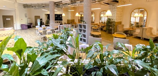Home cafe Veranda Светлый бар на Курской