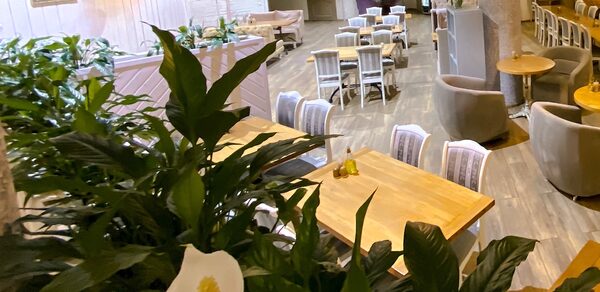 Home cafe Veranda Светлый бар на Курской