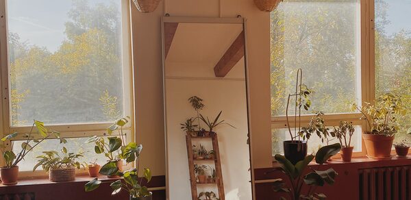 Светлый лофт с растениями