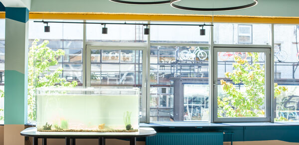 Проект «Океаника» Пространство для детского праздника