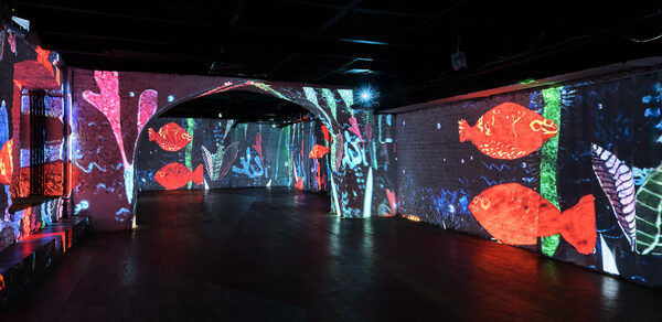  Мультимедийный лофт