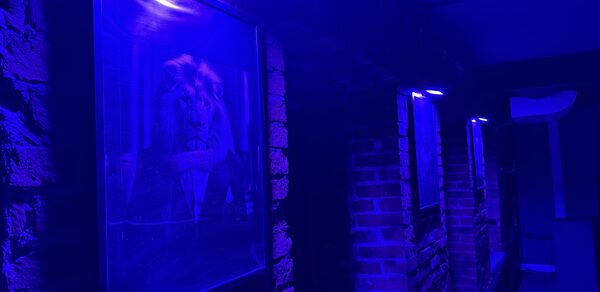 Лофт ИЗНАНКА. Зал КАСТЛ