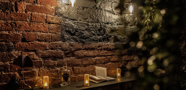 Небольшая лофт-комната с растением 