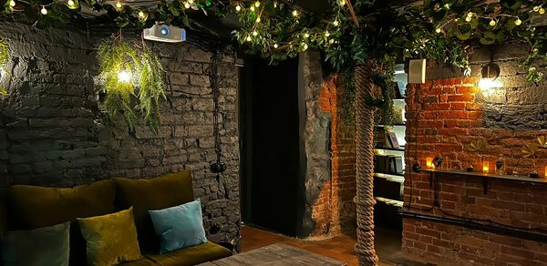 Небольшая лофт-комната с растением 