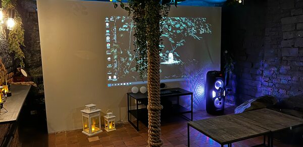 Небольшая лофт-комната с растением 