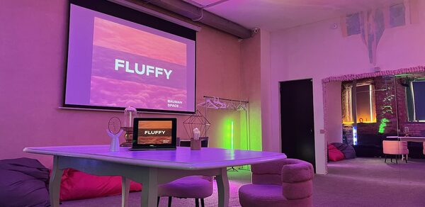 Bauman Space. Лофт Флаффи