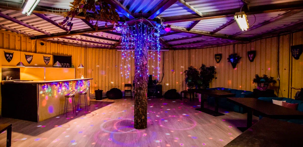 EmpireLoft Светлый лофт с деревом на Партизанской