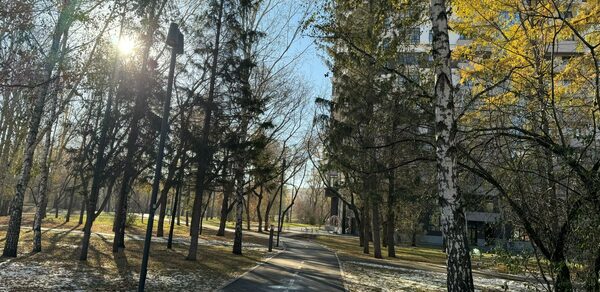 Arcobaleno Loft(Аркобалено Лофт). Пешеходная дорожка в городском парке, окружённая деревьями с осенней листвой. На тротуаре лежит небольшой слой снега. Слева видны уличные фонари, справа многоэтажное здание. Солнце светит сквозь ветви деревьев.