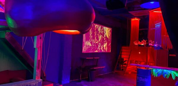 Лофт Гнездо. Лофт с верандой