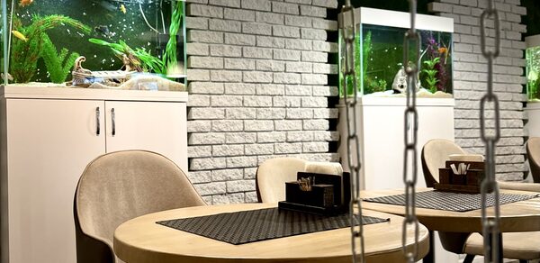 ДеловРаке Светлый бар под закрытие