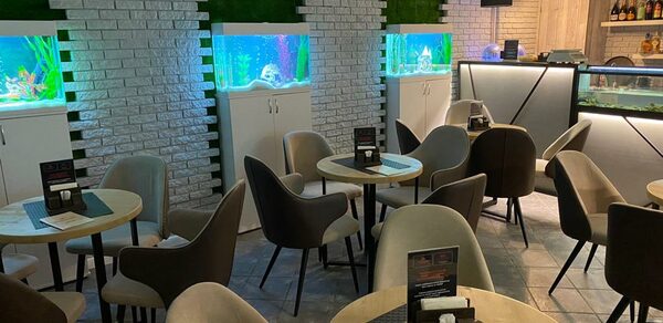 ДеловРаке Светлый бар под закрытие