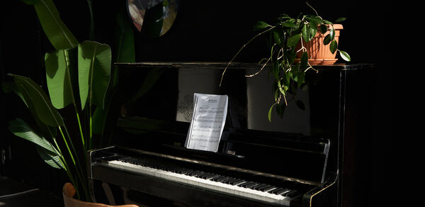 Светлая фотостудия для ваших мероприятий