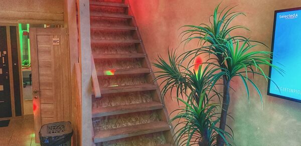 Двухуровневый лофт с растениями