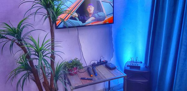 Двухуровневый лофт с растениями