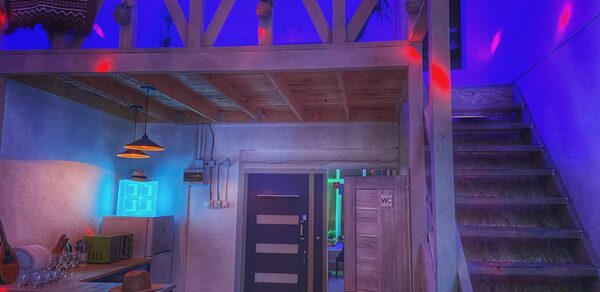 Двухуровневый лофт с растениями