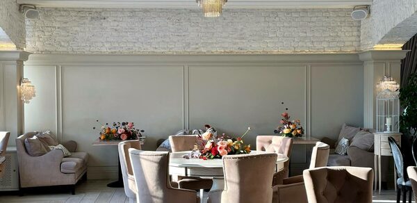 Верба Уютное светлое пространство